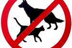 zakaz wyprowadzania zwierząt na plac zabaw